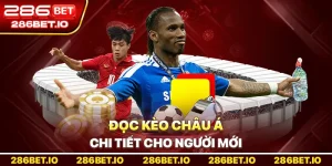 Hướng Dẫn Đọc Kèo châu Á Chi Tiết Cho Người Mới Bắt Đầu