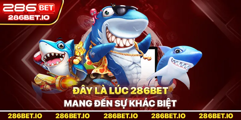 Đây là lúc 286bet mang đến sự khác biệt.