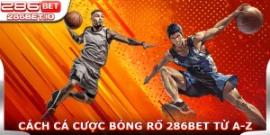 Cách Cá Cược Bóng Rổ 286BET Từ A-Z